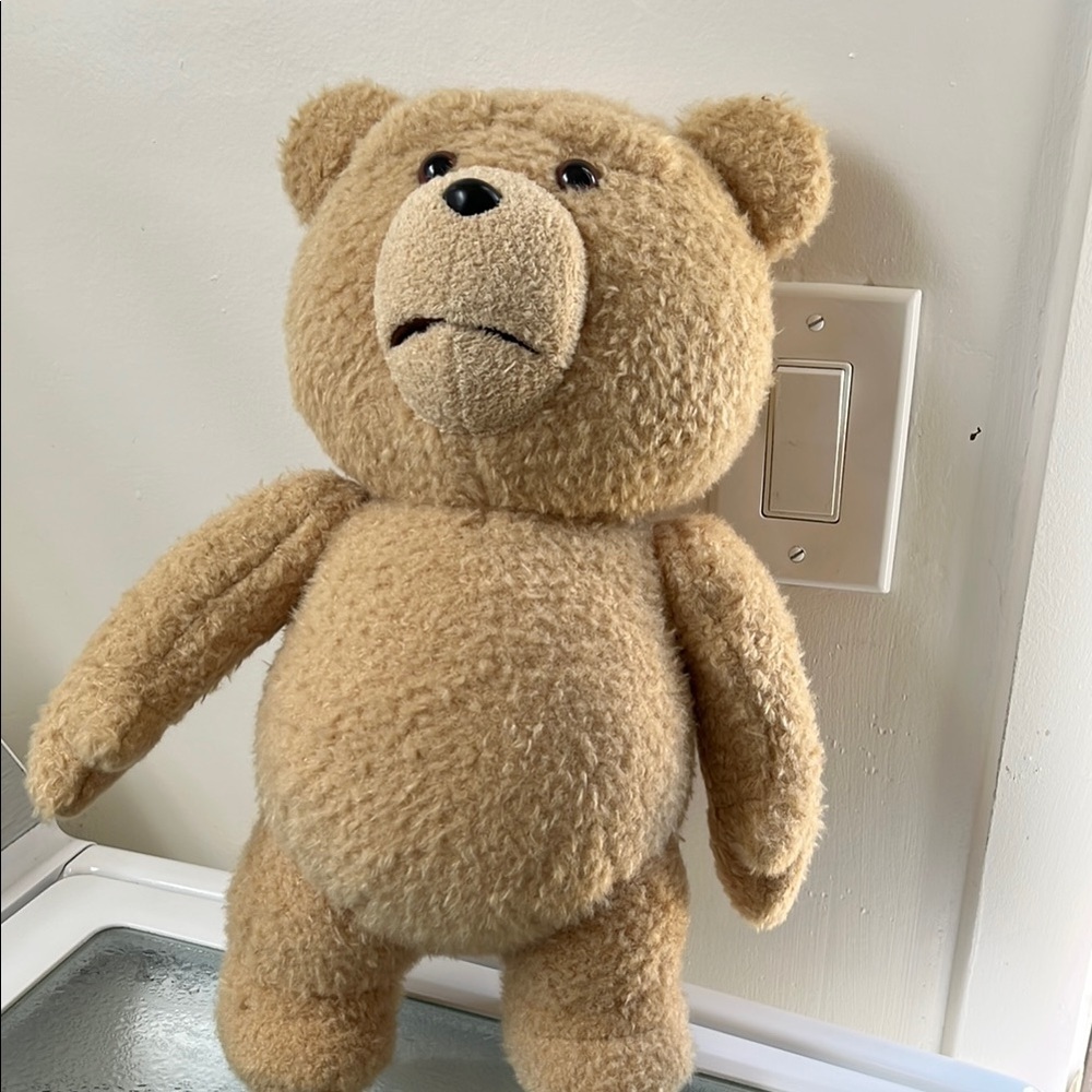 Plush Tan Teddy Bear Ted vintage! Talking box 
Doesn’t work🤙